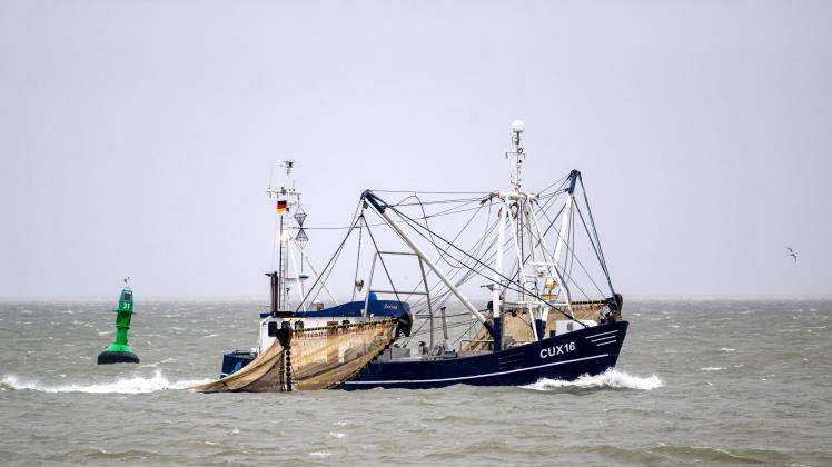 Fischereitag 2023 - Hochsee- und Küstenfischerei Weser-Ems