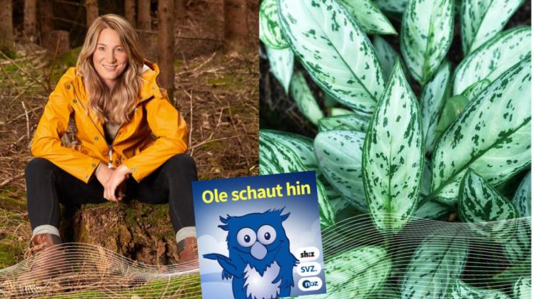 ZDF und Frank Luebke Jasmina Neudecker erklärt Fotosynthese