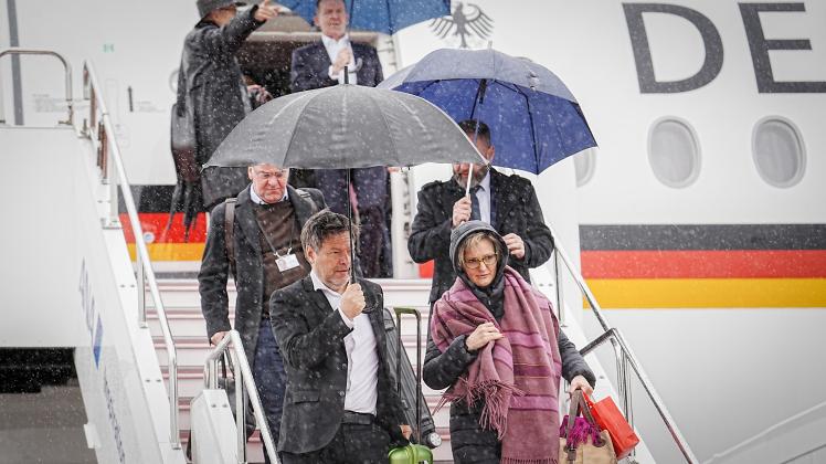 Deutsch-japanische Regierungskonsultationen
