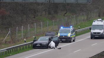 Polizei stoppt PKW mit Nagelbrett - Flucht über Autobahn