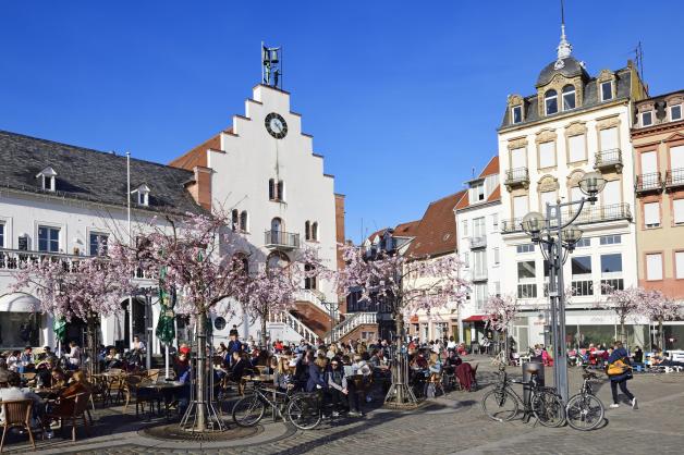 Landau in der Pfalz: Stadtplatz mit blühenden Mandelbäumen.