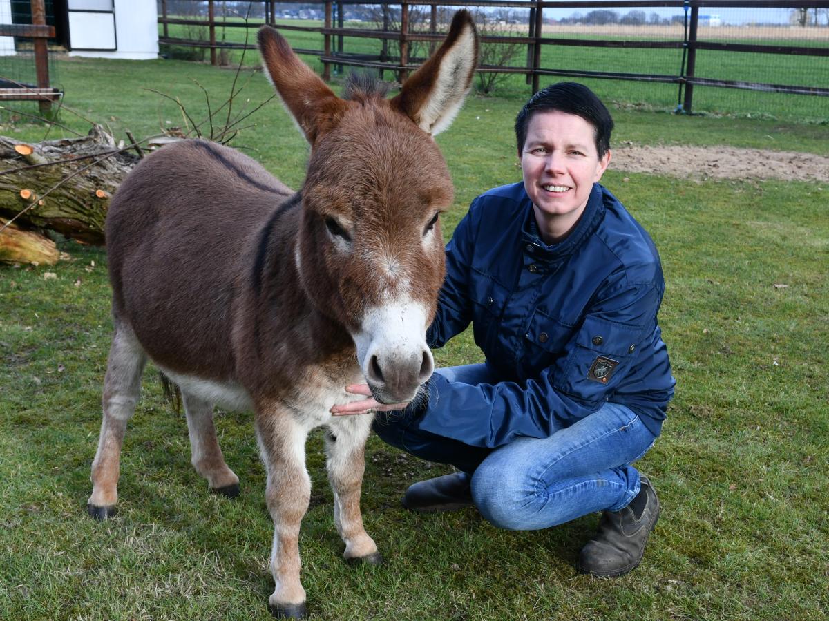 Petra Appeldorn züchtet in Löningen Deutsche Mini-Esel