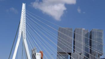 Das Bild zeigt die Erasmusbrücke in Rotterdam