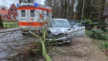 Nach einem Schwächeanfall fuhr ein Autofahrer in Ueffeln gegen einen Baum.