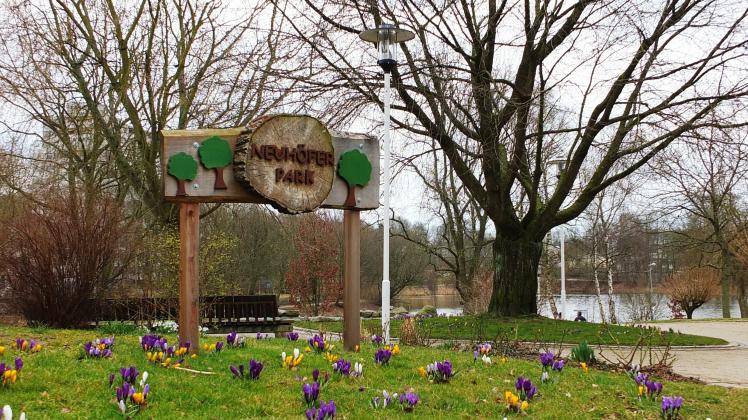 Reinfeld Wie Ehrenamtler einen kleinen Park zum Leben erwecken