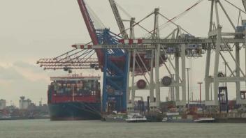 Wegen Warnstreik: Hamburger Hafen für große Schiffe gesperrt