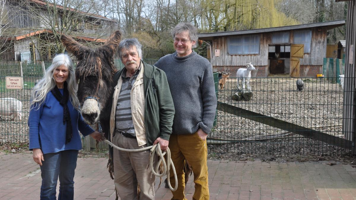 Erhaltung alter Tierrassen f r die Arche Alfsee immer aufwendiger