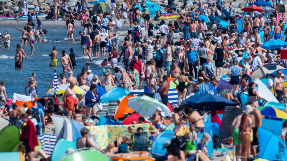 Kommentar von Stefan Menzel zur geplanten Kurabgabe in Rostock SVZ