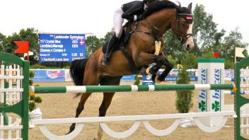 Zunehmend international: Reiterinnen und Reiter des RFV Wilhelminenhof wollen ihre Turniere verstärkt grenzüberschreitend bestreiten.