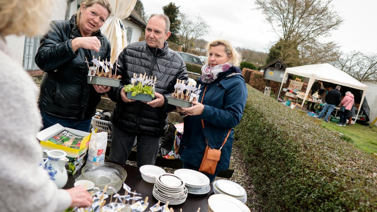 Pflanzenmarkt in OsnabrückSchinkel Tipps für HobbyGärtner NOZ