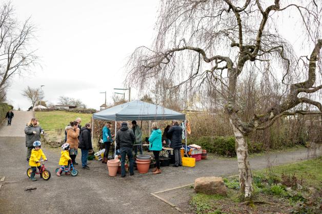 Pflanzenmarkt in OsnabrückSchinkel Tipps für HobbyGärtner NOZ