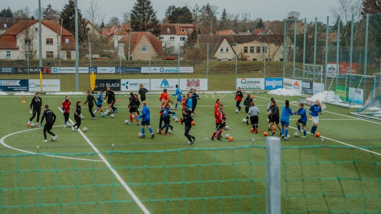 Zum ersten Sichtungstraining für die neuen Mädchen- und Frauenteams des FC Hansa kamen rund 60 Teilnehmerinnen. Das Interesse bleibt weiterhin hoch, so dass es weitere Termine gibt.