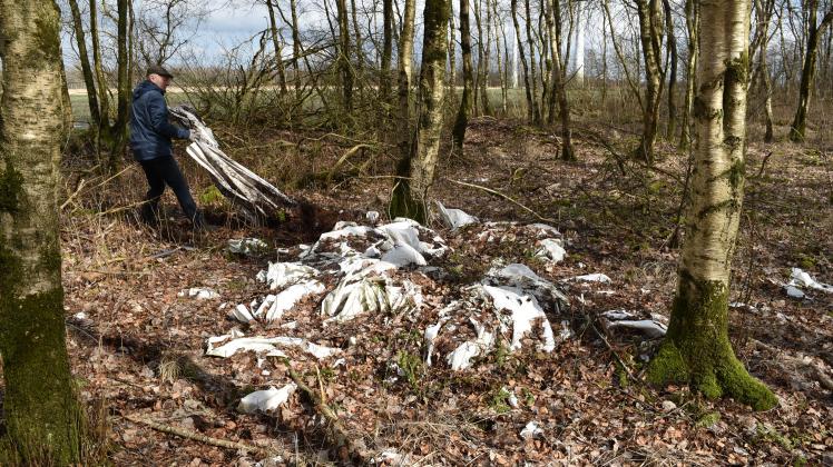 Mehrere solcher Plastikplanen hat Johann Müller in einem kleinen Waldstück in Dörpen gefunden. Dort scheinen sie schon seit Jahren zu verwittern. Doch der Landkreis will sich nicht darum kümmern.