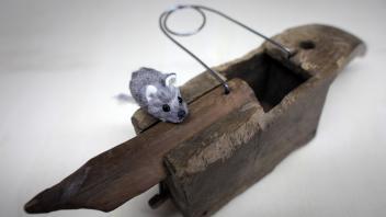Ausstellung - Mausetod! Menschen, Mäuse, Mausefallen