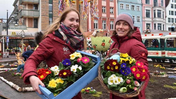 Ein farbenfroher Blickfang mit 300 Frühblühern ist auf dem Universitätsplatz entstanden. Auch für Marie Henschke (l.) und Inga Knospe vom Rostocker Großmarkt ist der Ostermarkt der Start in die Saison. 