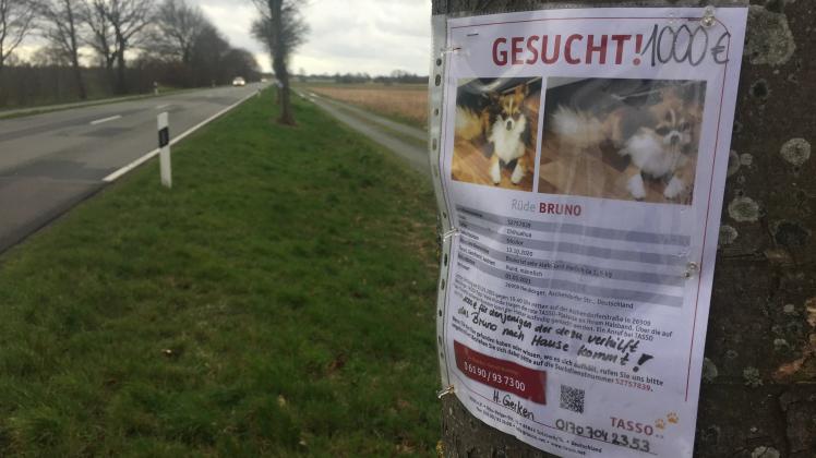Die Suche nach „Bruno“ aus Neubörger läuft weiter, unter anderem mit Flugblättern wie hier entlang der Aschendorfer Straße.