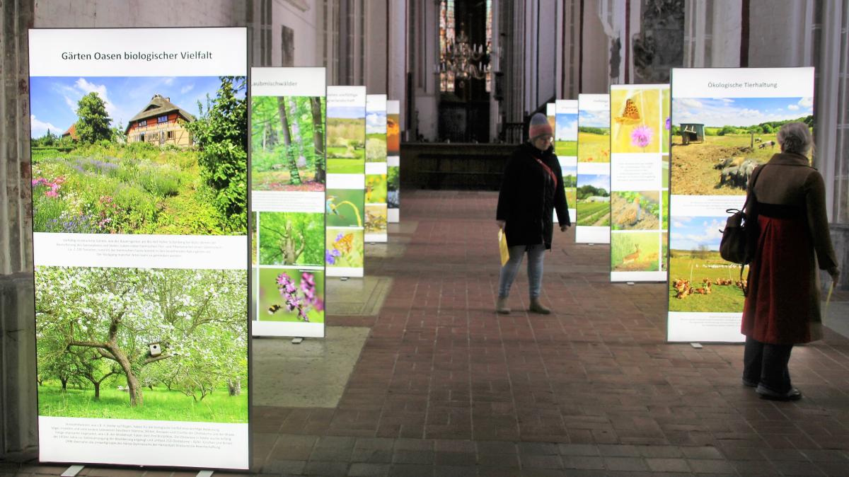 Ausstellung „Bedrohte Schöpfung“ Denkanstöße im Schweriner Dom SVZ