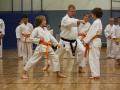 Karate-Training im Verein Budokai Schwerin: In wenigen Tagen richtet er die offenen Ostdeutschen Meisterschaften aus.   