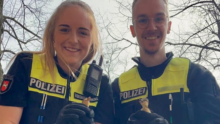 Johanna Herle und Parick Klekamp von der Polizei Bramsche brachten eine Entenfamilie in Sicherheit.