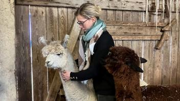 „Sir Henry“ hatte einen Unfall und soll nun operiert werden. Jennifer Dietel ist sehr besorgt, aber auch von der Entscheidung überzeugt