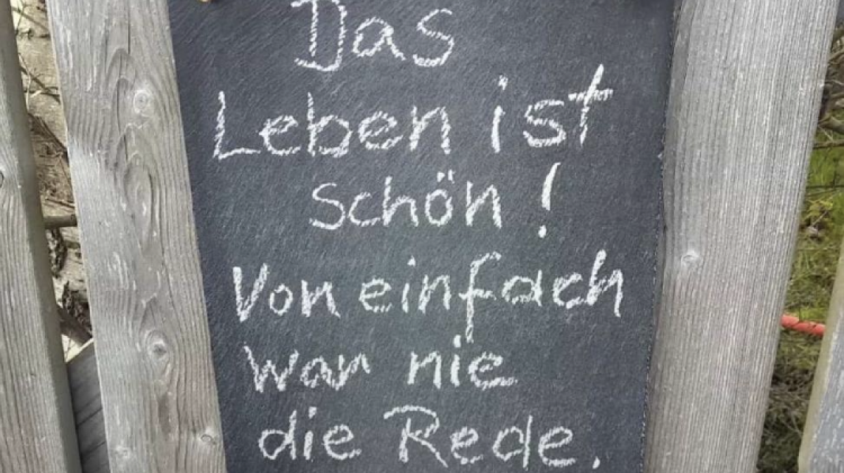 Von Sprüchen und einem Lächelbrett in der Rostocker Kolumne SVZ