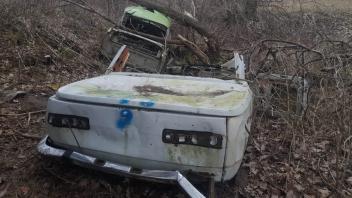 Trabi und Co. im Wald
