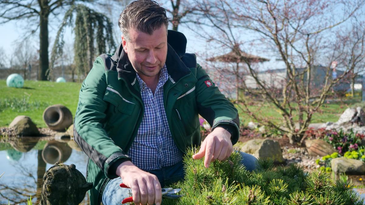 Gartenprofi gibt Tipps, worauf HobbyGärtner jetzt achten sollten DKO