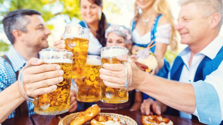 Group of friends toasting in beer garden, Group of friends toasting in Bavarian beer garden, Group of friends toasting i