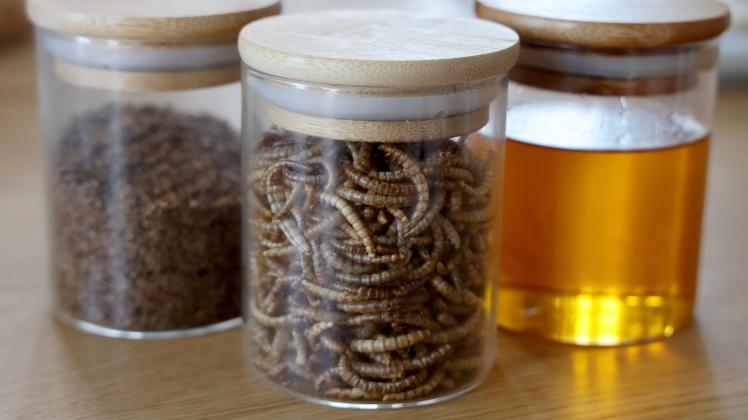 Start-up-Unternehmen produziert Insektenmehl