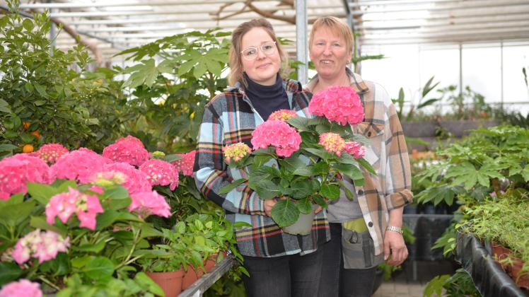 Karina Gerdes (links) leitet als Juniorchefin gemeinsam mit ihrer Tante Renate Egbers den Floristikbereich des Gartencenters Fahrendorf in Mehringen.