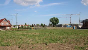 Zwischen Wiesen und dem Neubaugebiet an der Robert-Koch-Straße soll in Dissen eine Kita gebaut werden