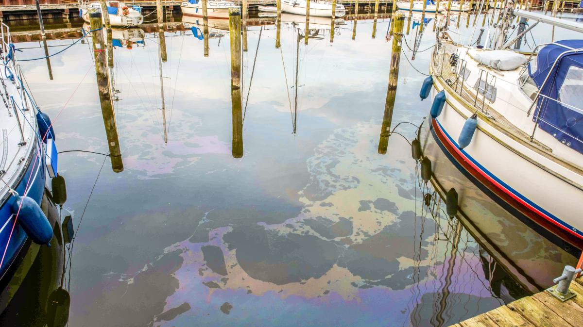 segelyacht defekt kaufen