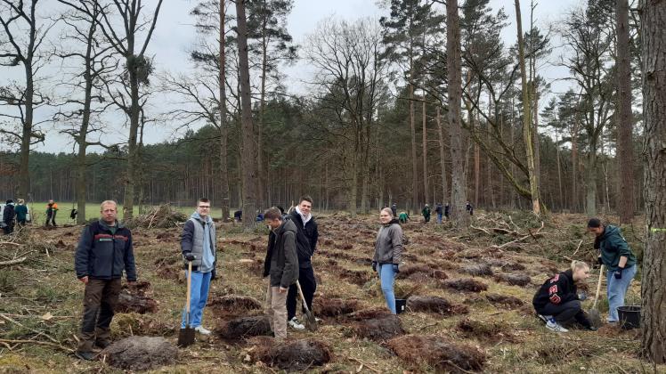  Forstwirtschaftsmeister Dirk Elsper leitet eine Gruppe von Schülern beim Pflanzen an
