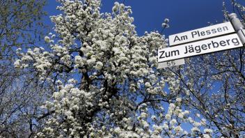 Allein in Hagen aTW, wo die Kirschen blühen, finden am kommenden Wochenende zwei Veranstaltungen statt.
