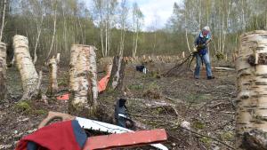 Viele tatkräftige Helfer räumten Gestrüpp und Bäume vom Moor, damit es wieder Wasser speichern kann.