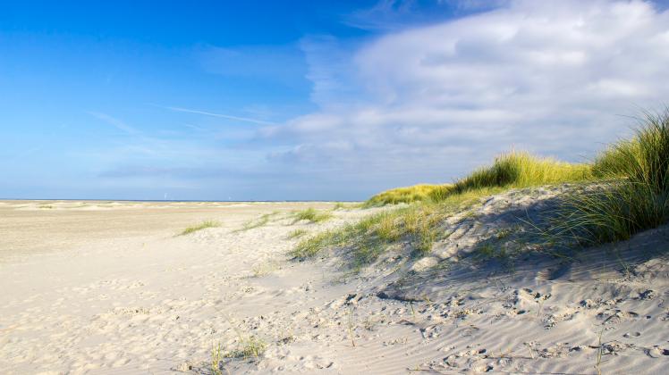 the dunes, Renesse, Zeeland, the Netherlands, the dunes, Renesse, Zeeland, the Netherlands, the dunes, Renesse, Zeeland,