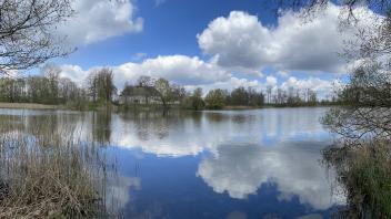 Der Schein trügt: So schön wie sich der Lübziner See im Sonnenschein zeigt, ist er nicht. Er verlandet immer mehr, sagt Bürgermeister Lutz Ritter.