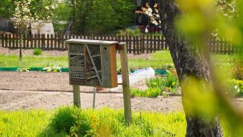 Der Verein hat ein Insektenhotel auf den leerstehenden Garten mit der Nummer 19 gestellt.