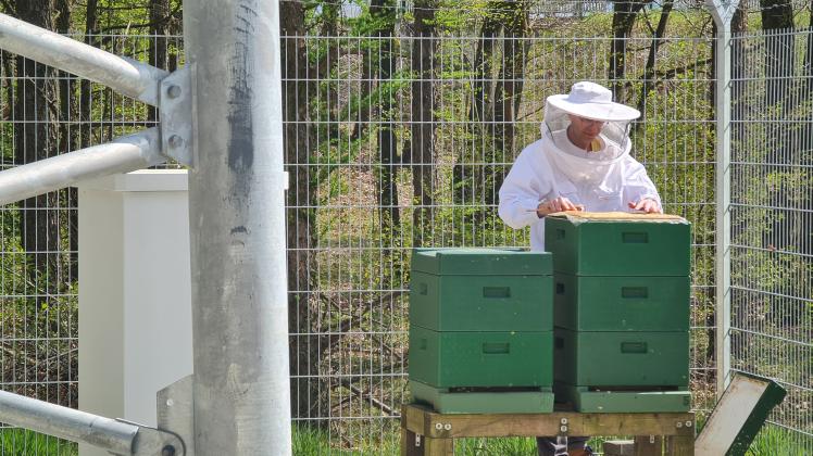 Die Bienenstöcke von Bernd Neuenstein stehen auf dem eingezäunten Gelände des Funkturms sicher. Angst vor Diebstahl oder Vandalismus muss der Meppener Imker nicht mehr haben.
