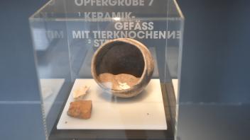 Museum Schnippenburg