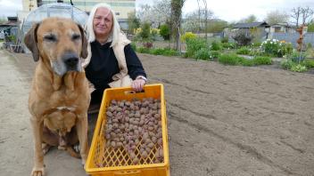 Seit mehr als 20 Jahren hat Stefanie Fürst ihren Kleingarten, in dem auch Hund Anton gerne zu Besuch ist.