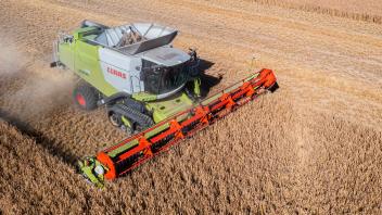 Getreideernte steht kurz vor dem Abschluss. Auf der Schwäbischen Alb bei Amstetten wird Dinkel gedroschen. Claas Mähdre