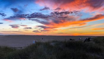 Panorama, Sonnenuntergang, Dünen am Sønderstrand, Rømø, Dänemark, Europa *** Panorama, Sunset, Dunes on special beach, R