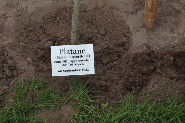 TuS Appen würdigt Ehrenvorsitzenden Wilfred Diekert