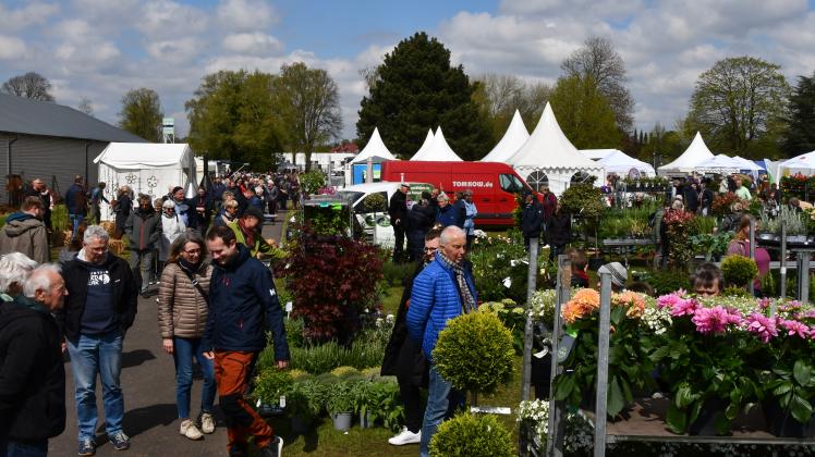 Rendsburg Gartenmesse Flora 2024 lockt mit Blumen und Alpakas