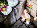 Vierjähriger tot: Kinderschutzbund will mehr Beratungsstellen