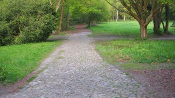 Dieser Fußweg endet mitten im Wald von Langes Tannen. Das soll sich schon bald ändern.