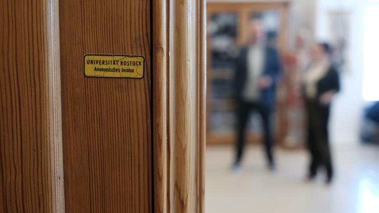 Die Anatomische Schausammlung der Unimedizin Rostock umfasst unter anderem menschliche Präparate und Knochen - auch von anderen Kontinenten.