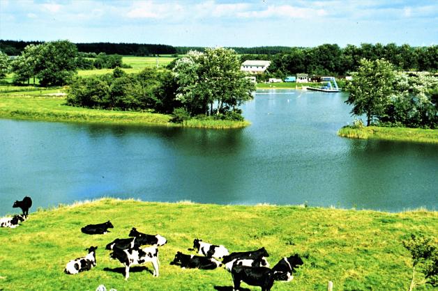 Warum das Ladelunder Naturbad ein knstlicher See ist