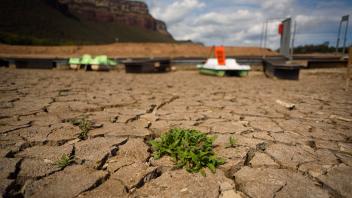 April 27, 2023, Vilanova de Sau, Spain: A plant is growing among dry solid clumps at the Sau water reservoir. The water 